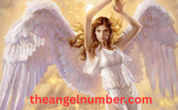 1116 angel number