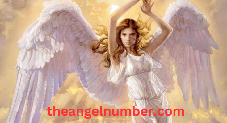 1116 angel number