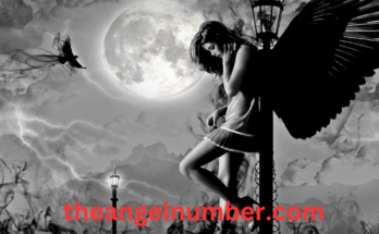 1661 angel number