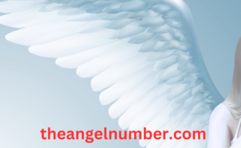 338 angel number