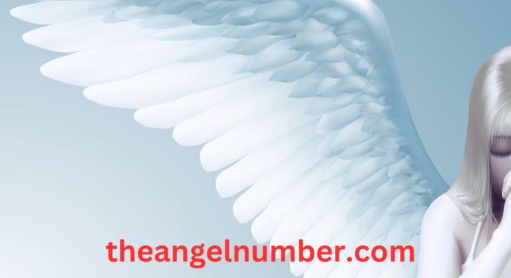 338 angel number