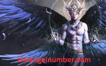 339 angel number