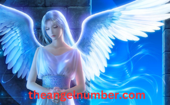 559 Angel Number