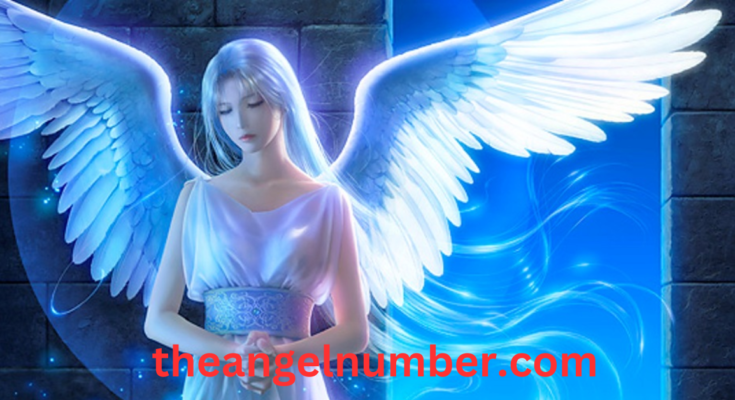 559 Angel Number