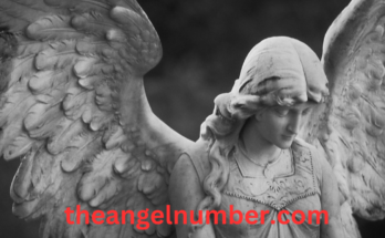 8484 angel number