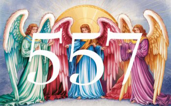 557 Angel Number