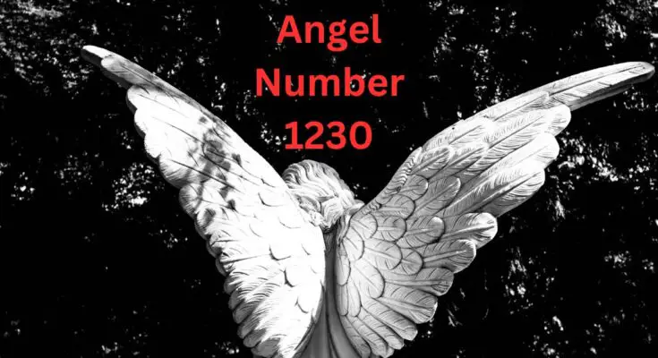 1230 Angel Number