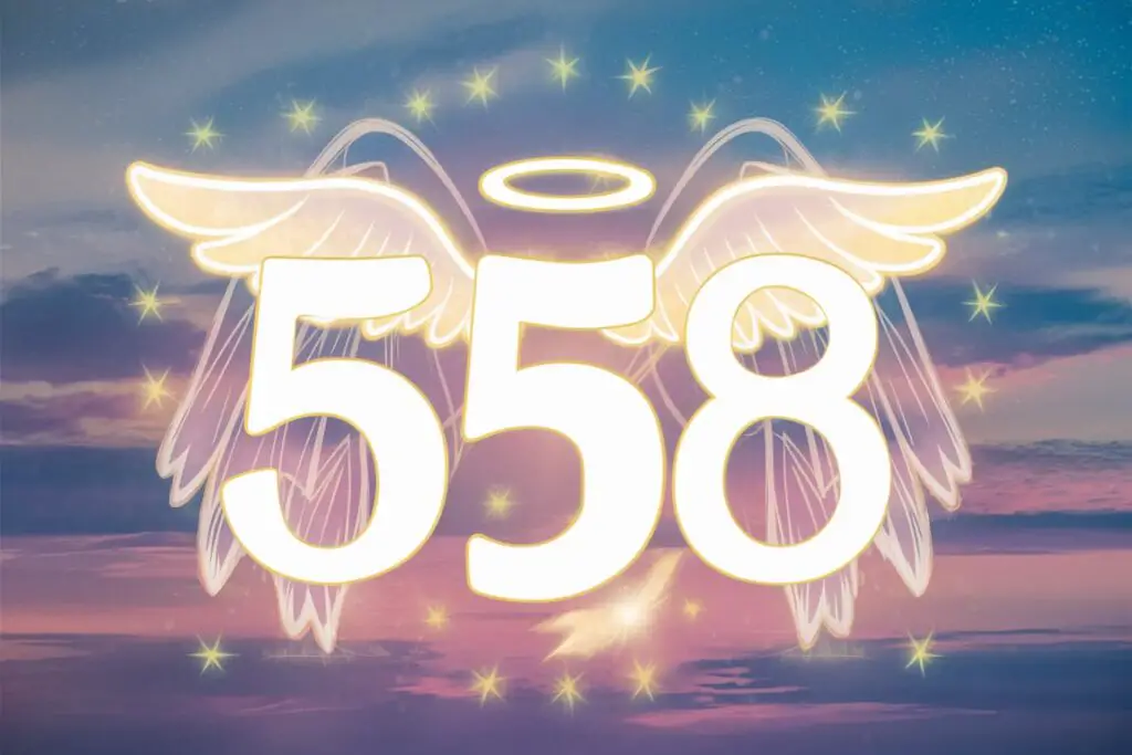 558 Angel Number